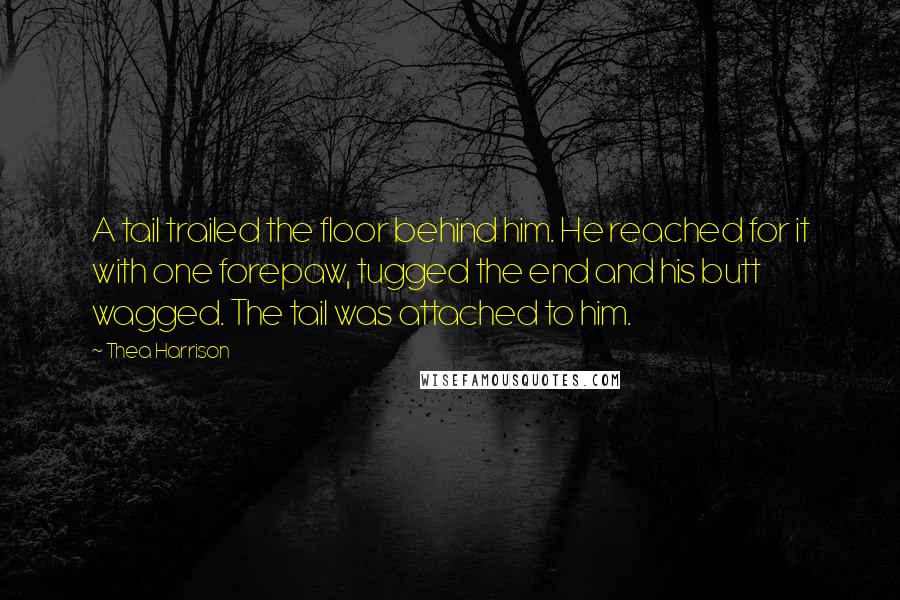 Thea Harrison Quotes: A tail trailed the floor behind him. He reached for it with one forepaw, tugged the end and his butt wagged. The tail was attached to him.