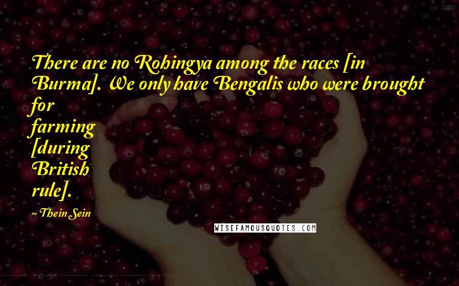 Thein Sein Quotes: There are no Rohingya among the races [in Burma]. We only have Bengalis who were brought for farming [during British rule].