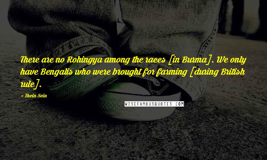Thein Sein Quotes: There are no Rohingya among the races [in Burma]. We only have Bengalis who were brought for farming [during British rule].