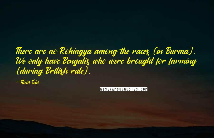 Thein Sein Quotes: There are no Rohingya among the races [in Burma]. We only have Bengalis who were brought for farming [during British rule].