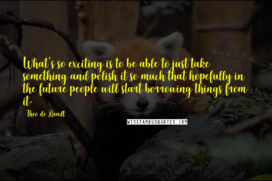 Theo De Raadt Quotes: What's so exciting is to be able to just take something and polish it so much that hopefully in the future people will start borrowing things from it.