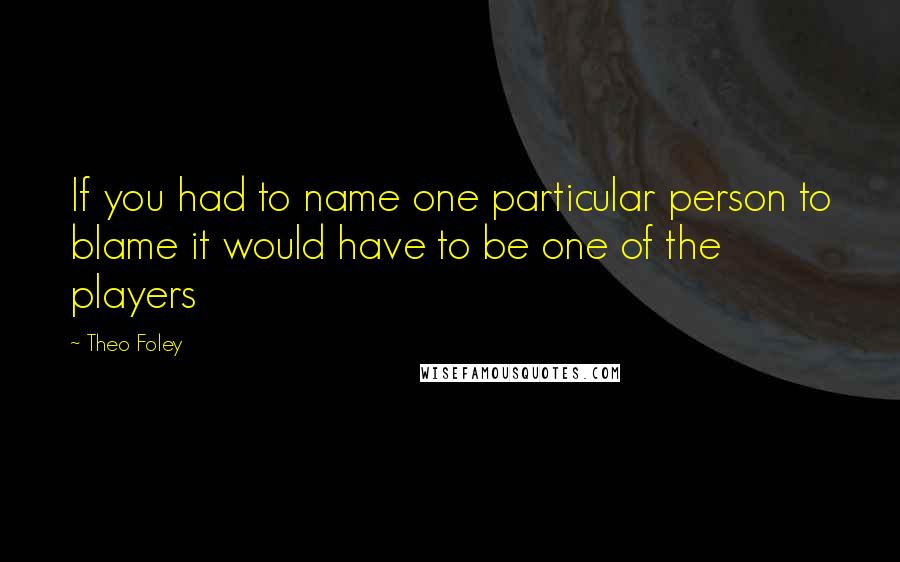 Theo Foley Quotes: If you had to name one particular person to blame it would have to be one of the players