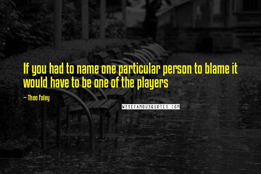 Theo Foley Quotes: If you had to name one particular person to blame it would have to be one of the players