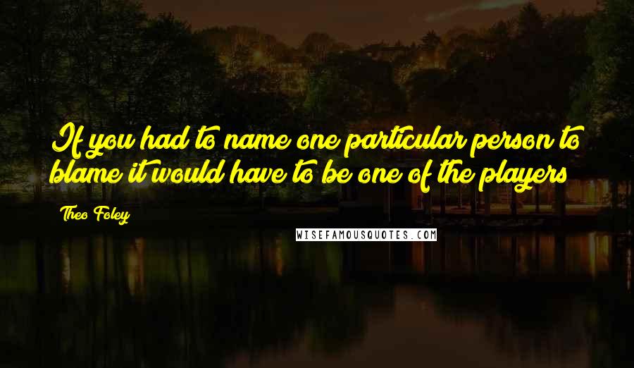 Theo Foley Quotes: If you had to name one particular person to blame it would have to be one of the players