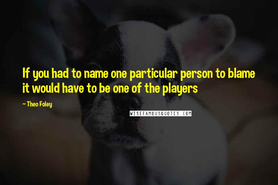 Theo Foley Quotes: If you had to name one particular person to blame it would have to be one of the players