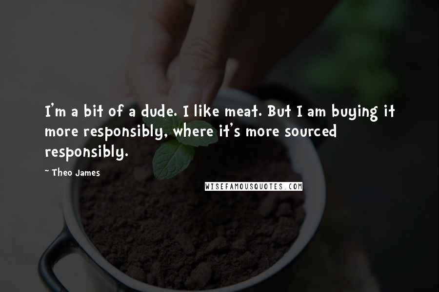 Theo James Quotes: I'm a bit of a dude. I like meat. But I am buying it more responsibly, where it's more sourced responsibly.