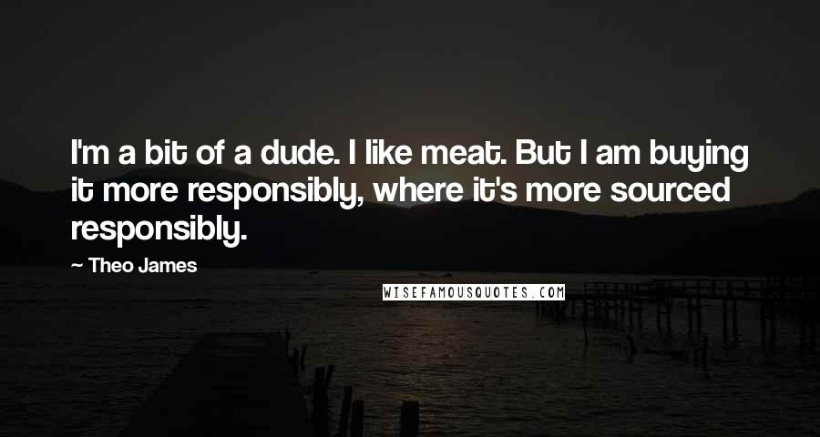 Theo James Quotes: I'm a bit of a dude. I like meat. But I am buying it more responsibly, where it's more sourced responsibly.