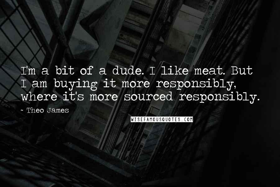 Theo James Quotes: I'm a bit of a dude. I like meat. But I am buying it more responsibly, where it's more sourced responsibly.