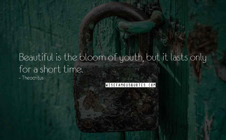 Theocritus Quotes: Beautiful is the bloom of youth, but it lasts only for a short time.