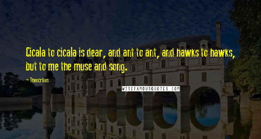 Theocritus Quotes: Cicala to cicala is dear, and ant to ant, and hawks to hawks, but to me the muse and song.