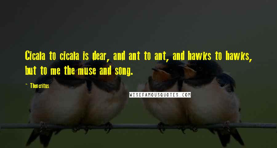 Theocritus Quotes: Cicala to cicala is dear, and ant to ant, and hawks to hawks, but to me the muse and song.