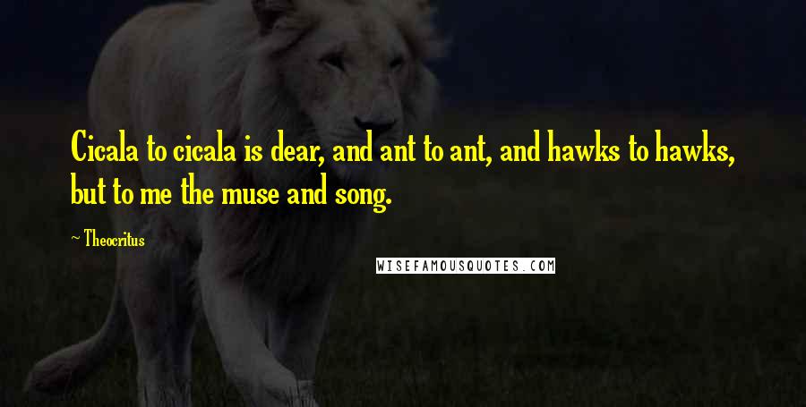 Theocritus Quotes: Cicala to cicala is dear, and ant to ant, and hawks to hawks, but to me the muse and song.