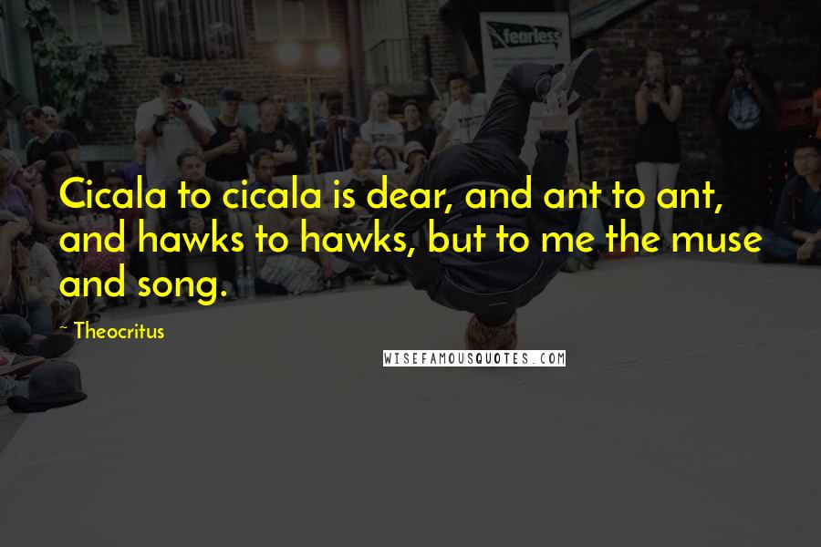 Theocritus Quotes: Cicala to cicala is dear, and ant to ant, and hawks to hawks, but to me the muse and song.