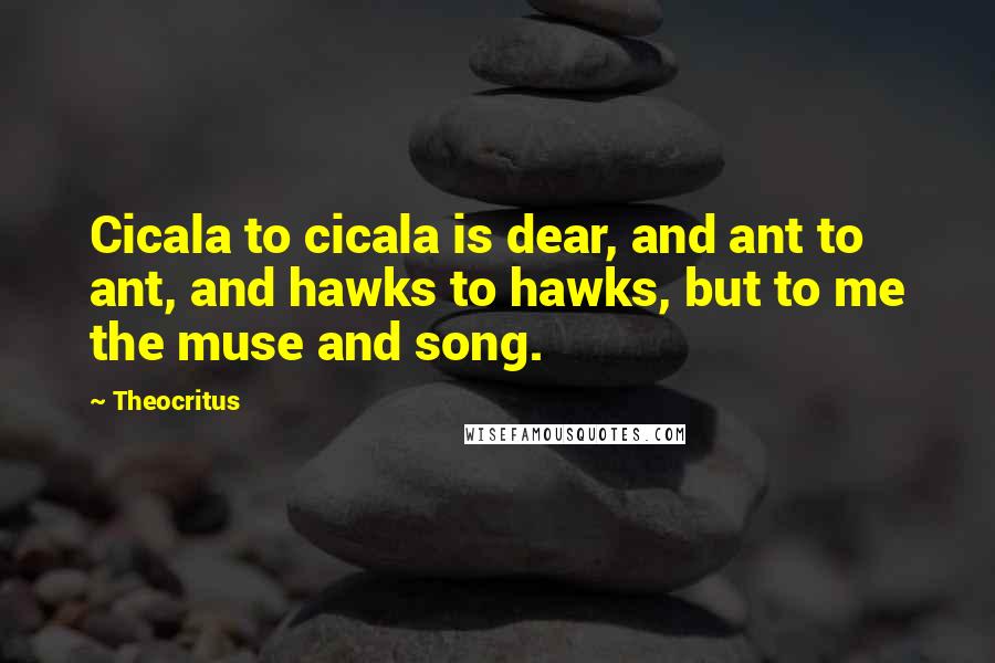 Theocritus Quotes: Cicala to cicala is dear, and ant to ant, and hawks to hawks, but to me the muse and song.