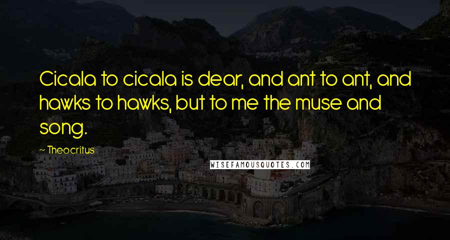 Theocritus Quotes: Cicala to cicala is dear, and ant to ant, and hawks to hawks, but to me the muse and song.