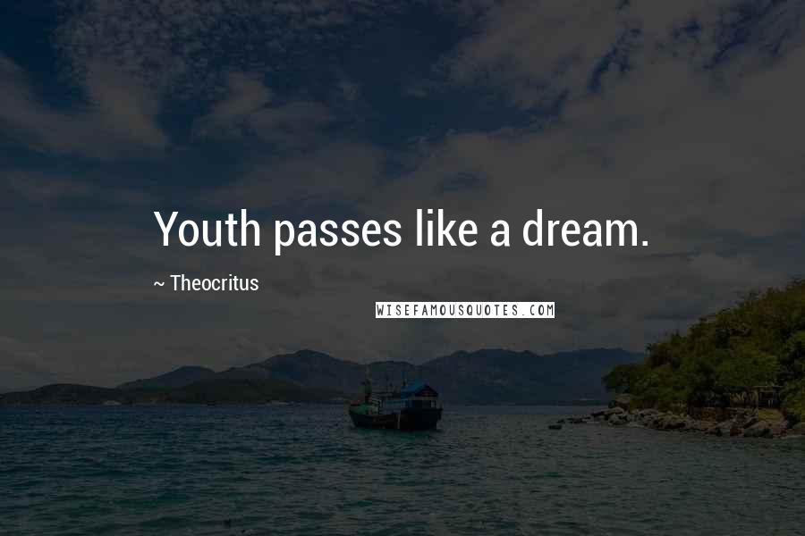 Theocritus Quotes: Youth passes like a dream.