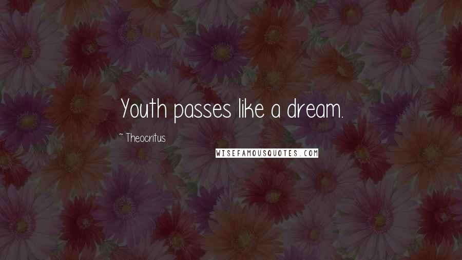 Theocritus Quotes: Youth passes like a dream.