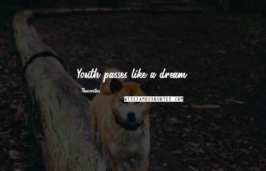 Theocritus Quotes: Youth passes like a dream.