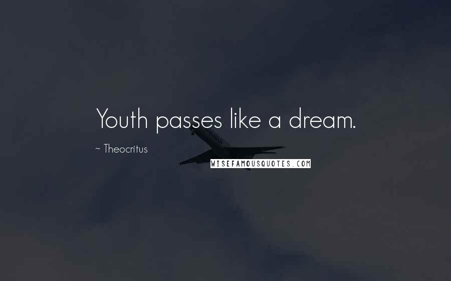 Theocritus Quotes: Youth passes like a dream.