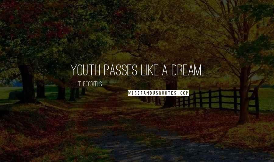 Theocritus Quotes: Youth passes like a dream.