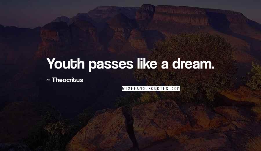 Theocritus Quotes: Youth passes like a dream.