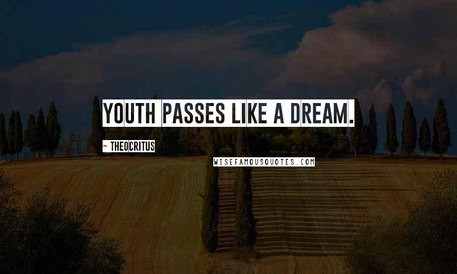 Theocritus Quotes: Youth passes like a dream.