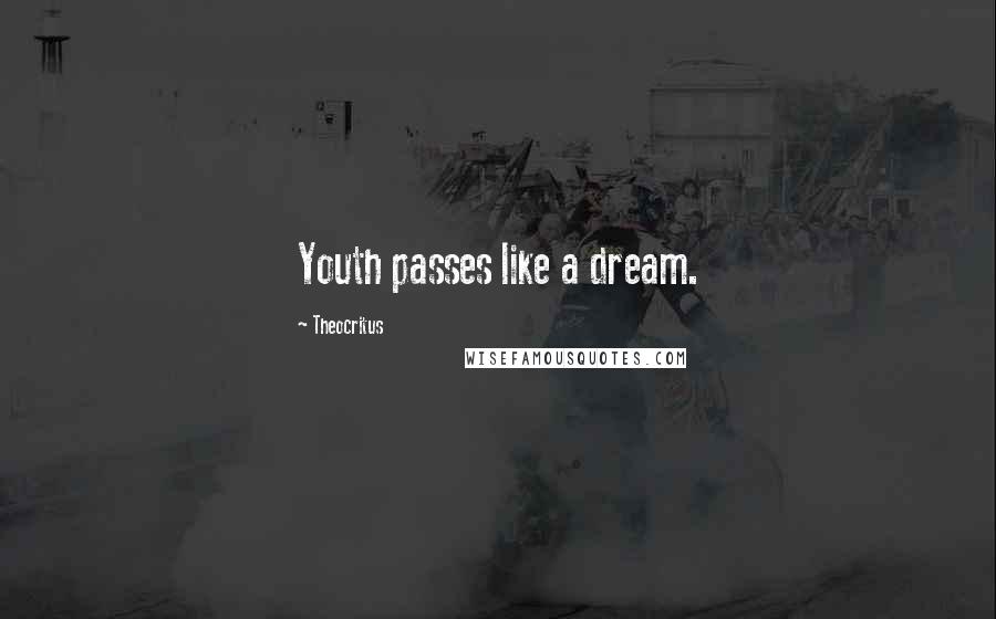 Theocritus Quotes: Youth passes like a dream.