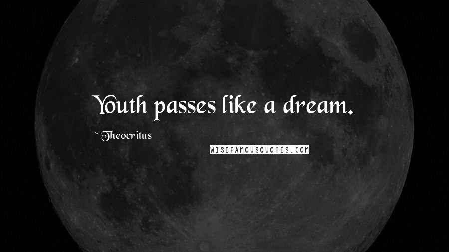 Theocritus Quotes: Youth passes like a dream.