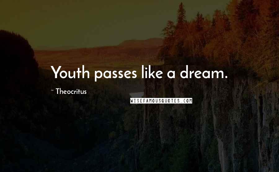 Theocritus Quotes: Youth passes like a dream.