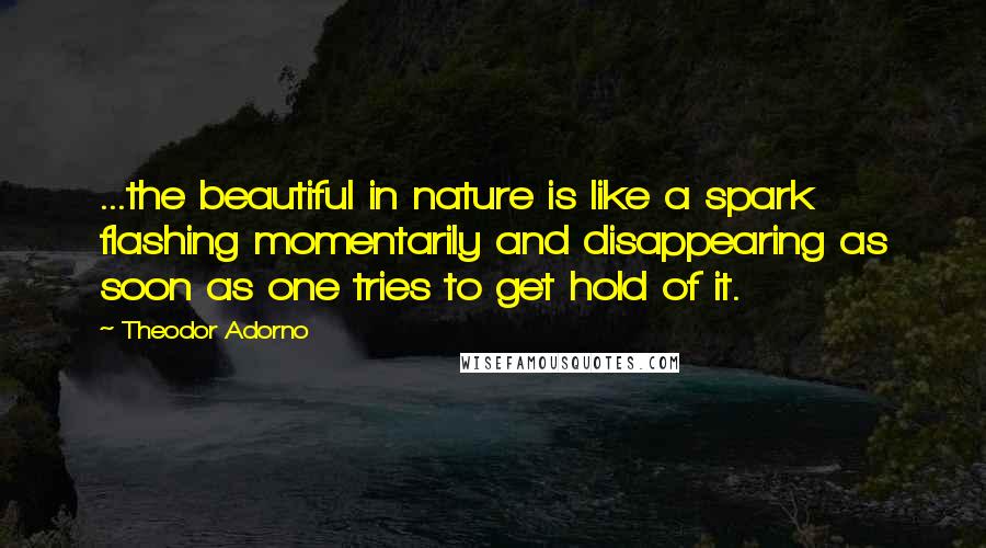 Theodor Adorno Quotes: ...the beautiful in nature is like a spark flashing momentarily and disappearing as soon as one tries to get hold of it.