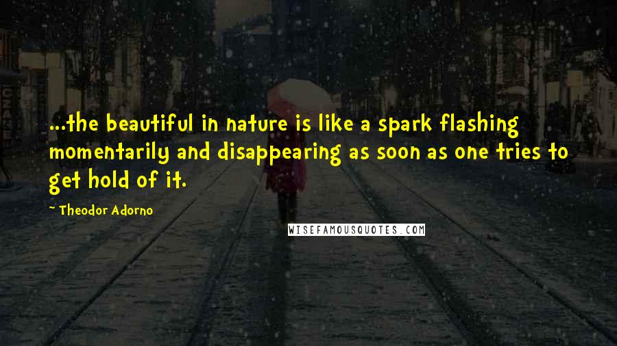 Theodor Adorno Quotes: ...the beautiful in nature is like a spark flashing momentarily and disappearing as soon as one tries to get hold of it.