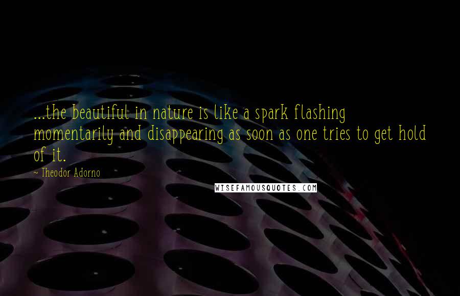 Theodor Adorno Quotes: ...the beautiful in nature is like a spark flashing momentarily and disappearing as soon as one tries to get hold of it.