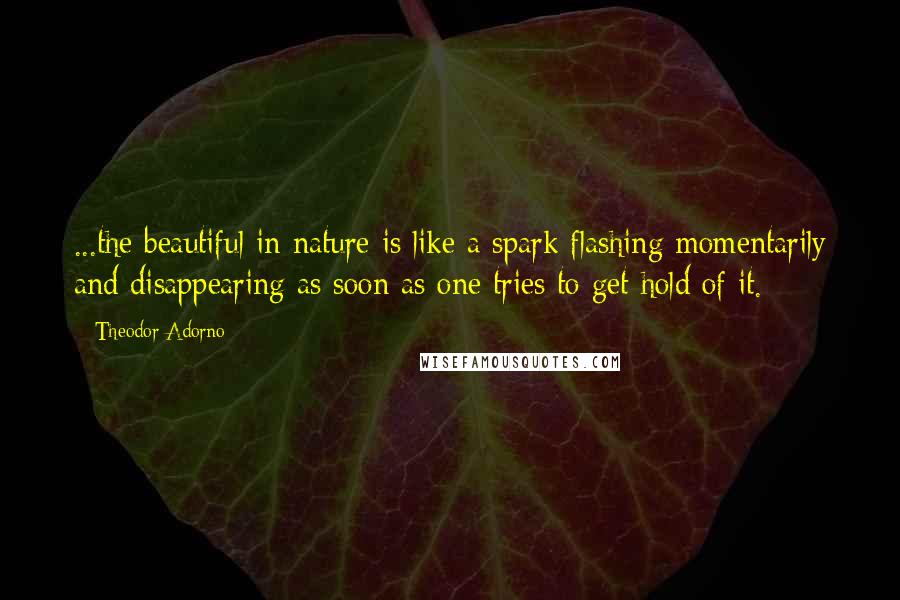 Theodor Adorno Quotes: ...the beautiful in nature is like a spark flashing momentarily and disappearing as soon as one tries to get hold of it.