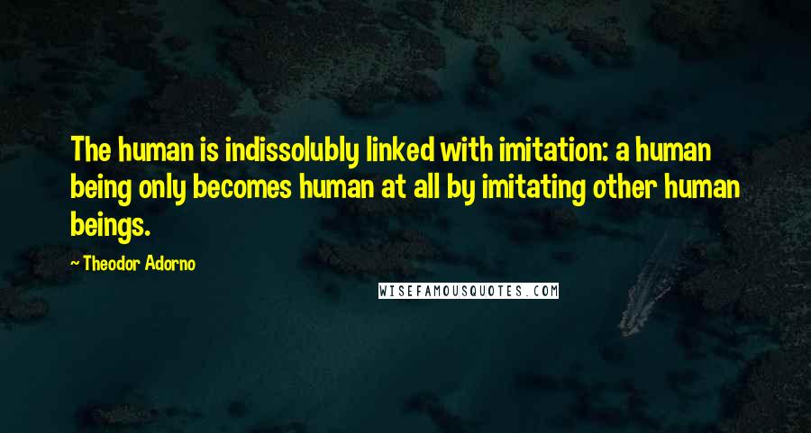 Theodor Adorno Quotes: The human is indissolubly linked with imitation: a human being only becomes human at all by imitating other human beings.