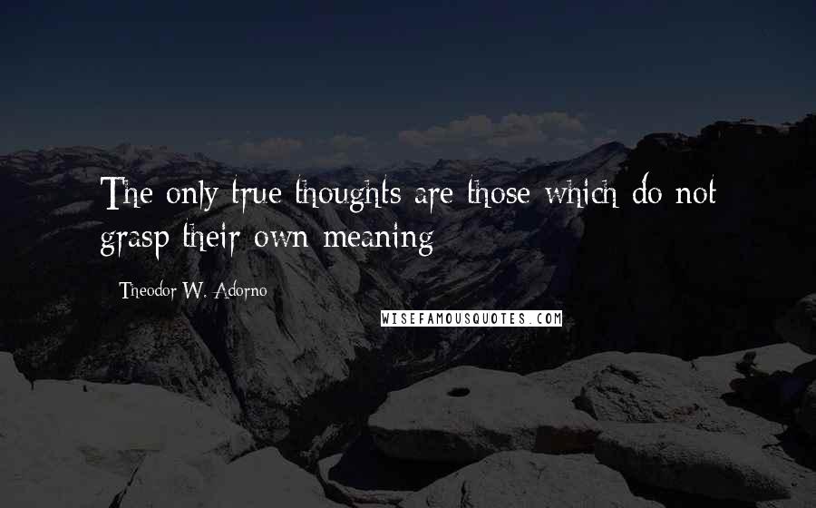 Theodor W. Adorno Quotes: The only true thoughts are those which do not grasp their own meaning