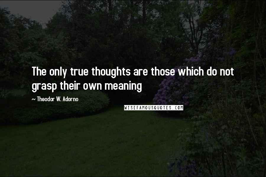 Theodor W. Adorno Quotes: The only true thoughts are those which do not grasp their own meaning