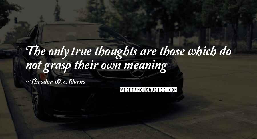 Theodor W. Adorno Quotes: The only true thoughts are those which do not grasp their own meaning