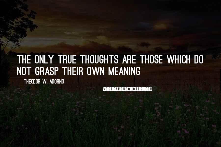 Theodor W. Adorno Quotes: The only true thoughts are those which do not grasp their own meaning