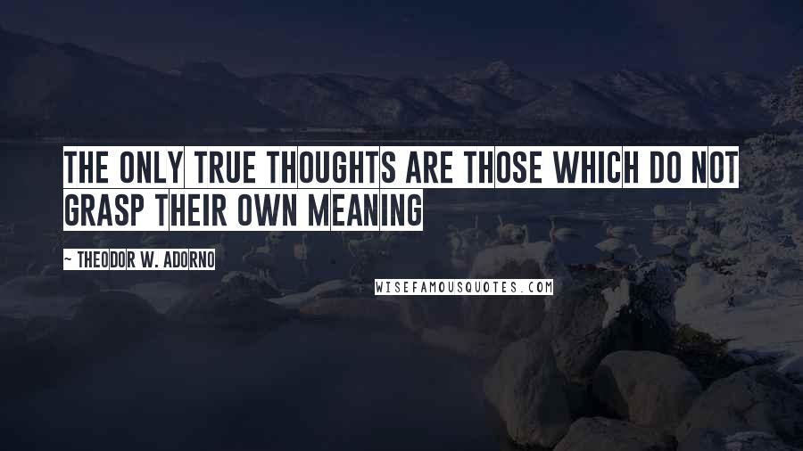 Theodor W. Adorno Quotes: The only true thoughts are those which do not grasp their own meaning