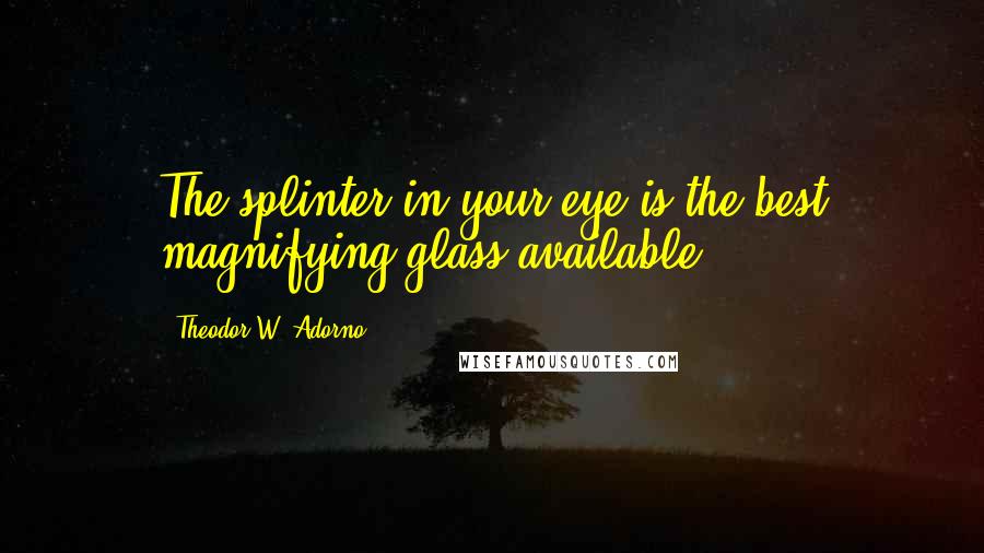 Theodor W. Adorno Quotes: The splinter in your eye is the best magnifying-glass available.