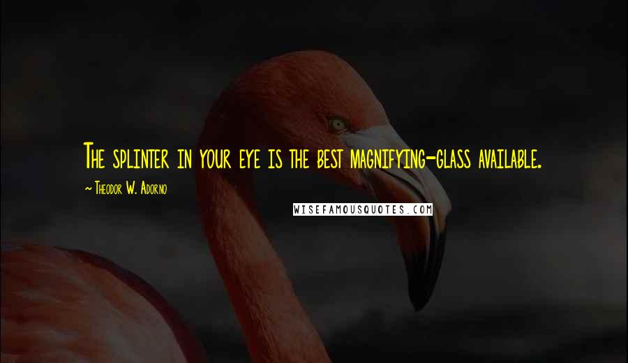 Theodor W. Adorno Quotes: The splinter in your eye is the best magnifying-glass available.