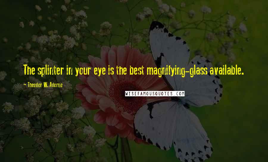 Theodor W. Adorno Quotes: The splinter in your eye is the best magnifying-glass available.