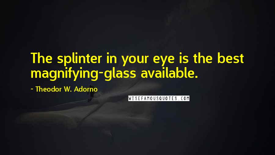 Theodor W. Adorno Quotes: The splinter in your eye is the best magnifying-glass available.