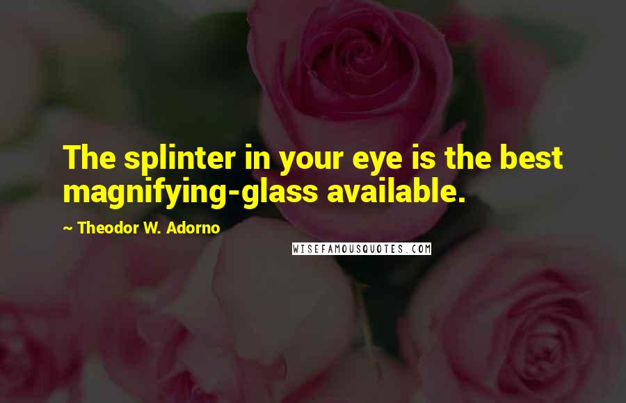 Theodor W. Adorno Quotes: The splinter in your eye is the best magnifying-glass available.