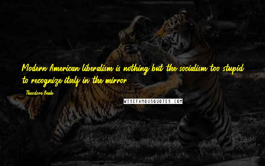 Theodore Beale Quotes: Modern American liberalism is nothing but the socialism too stupid to recognize itself in the mirror.