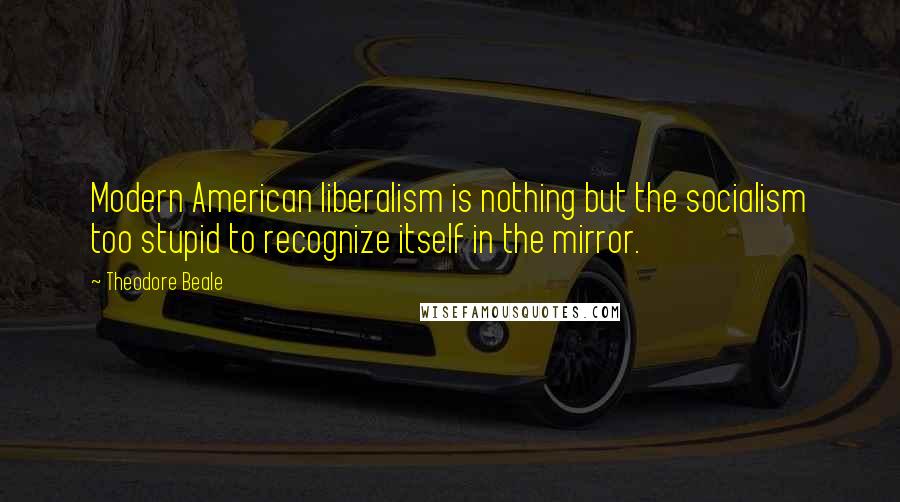 Theodore Beale Quotes: Modern American liberalism is nothing but the socialism too stupid to recognize itself in the mirror.