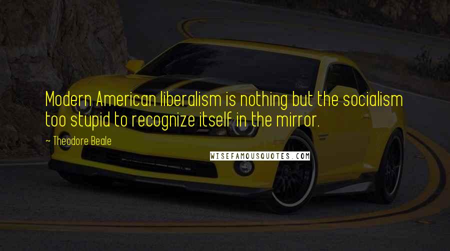 Theodore Beale Quotes: Modern American liberalism is nothing but the socialism too stupid to recognize itself in the mirror.