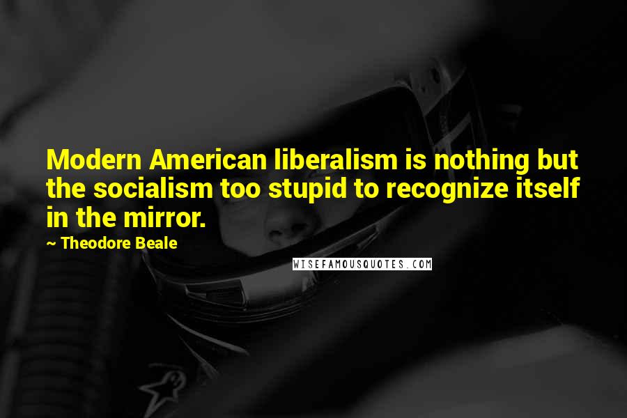 Theodore Beale Quotes: Modern American liberalism is nothing but the socialism too stupid to recognize itself in the mirror.