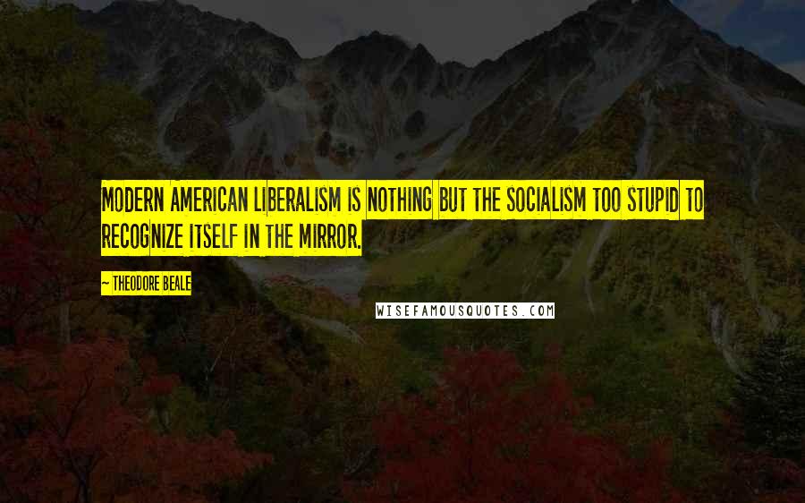 Theodore Beale Quotes: Modern American liberalism is nothing but the socialism too stupid to recognize itself in the mirror.