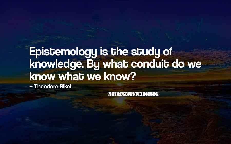 Theodore Bikel Quotes: Epistemology is the study of knowledge. By what conduit do we know what we know?